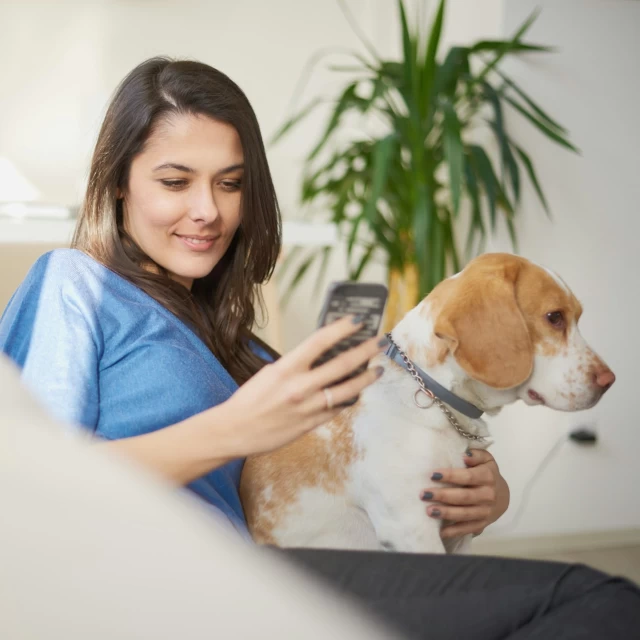 Veterinär-Bildportal - Schweizer Röntgen